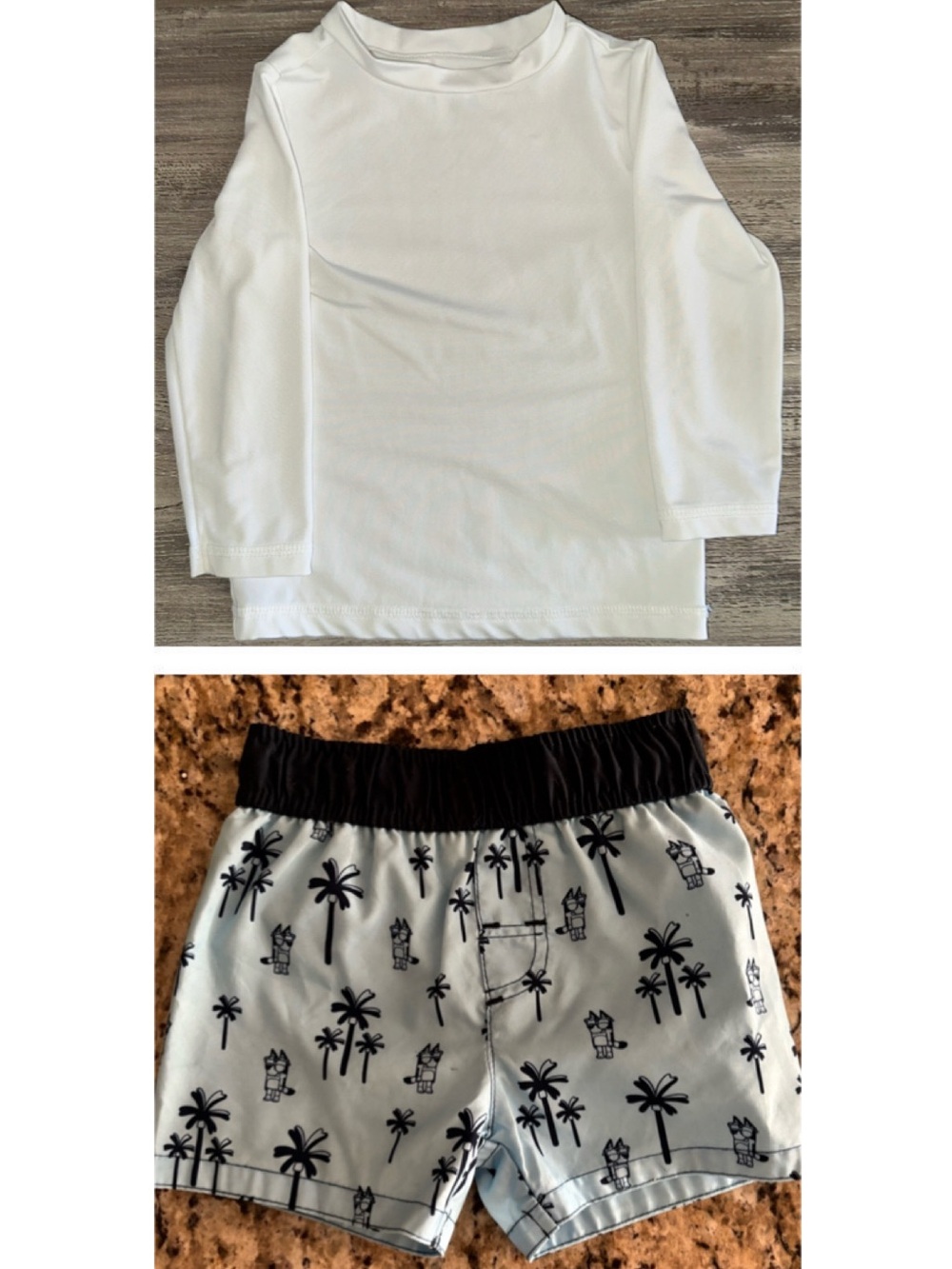 Toddler Boys Bluey Swim Short & Rash Guard Set